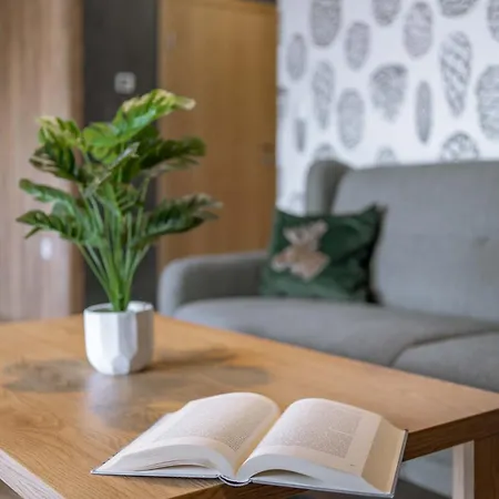 Dolina Czyrna Luksusowe Apartamenty W Szczyrku Dream Apart * Szczyrk