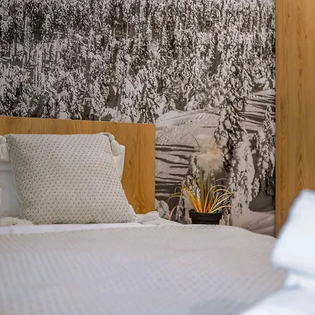 Dolina Czyrna Luksusowe Apartamenty W Szczyrku Dream Apart *
